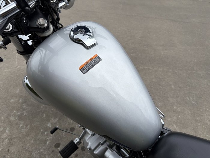 2020 Yamaha XV250 (VIRAGO VX250S, VX250R) Silver