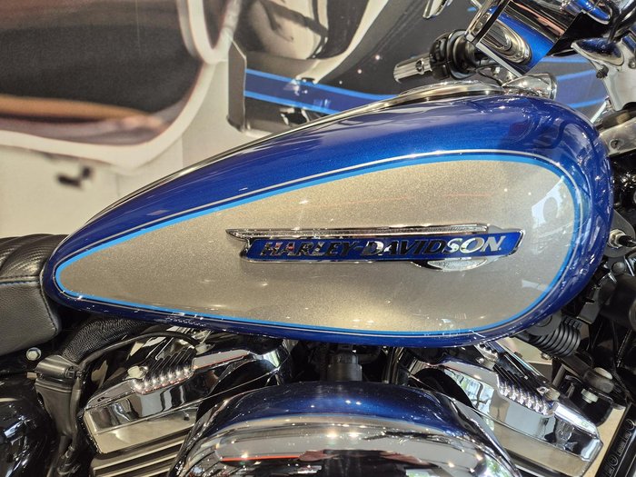 2009 Harley-Davidson 1200 Custom (XL1200C) Sportster Blue