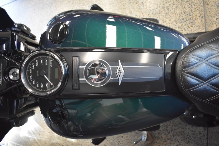 2021 Harley-davidson FLHRXS ROAD KING SPECIAL SNAKE VENOM