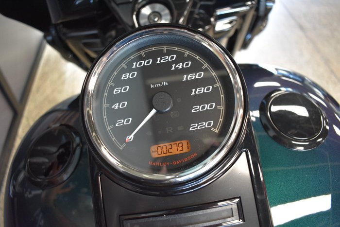 2021 Harley-davidson FLHRXS ROAD KING SPECIAL SNAKE VENOM