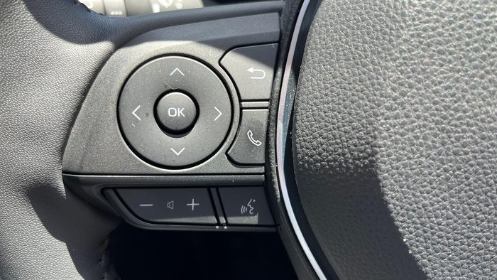 2024 Toyota RAV4 Cruiser