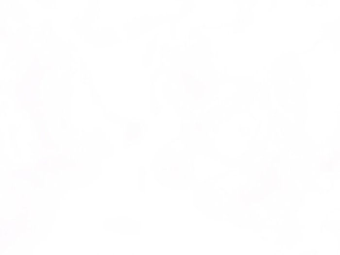 2019 Honda CBR650R Red