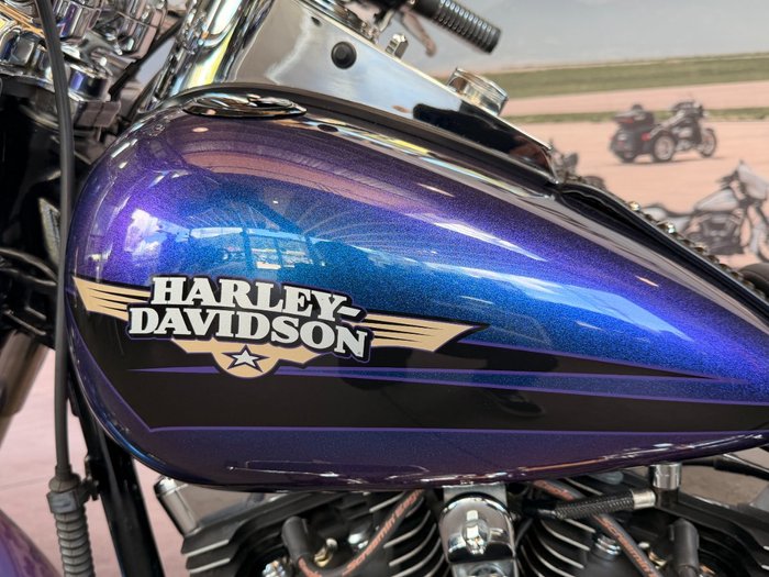 2010 Harley-davidson FLSTF FAT BOY Black