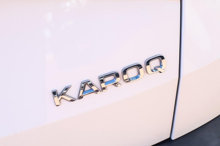 2019 SKODA Karoq 110TSI