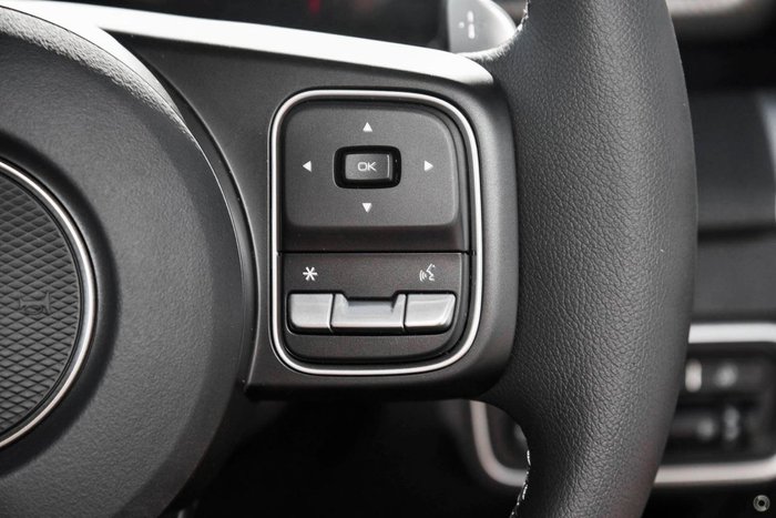 2025 GWM Cannon Premium