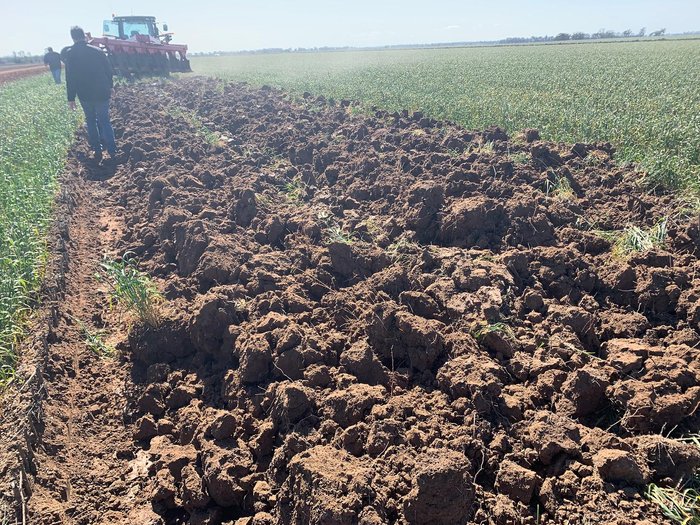 0 Tatu Aarp 10 Blade Reversible Moldboard Plough New RED