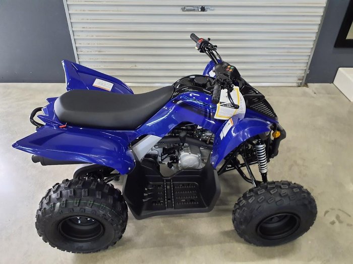 2025 Yamaha Raptor 110 (YFM110R) Raptor Blue