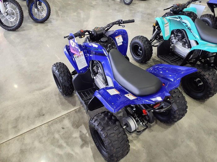 2025 Yamaha Raptor 110 (YFM110R) Raptor Blue