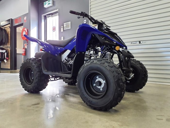 2025 Yamaha Raptor 110 (YFM110R) Raptor Blue