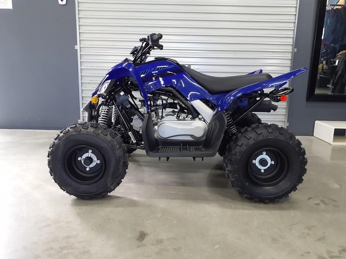 2025 Yamaha Raptor 110 (YFM110R) Raptor Blue