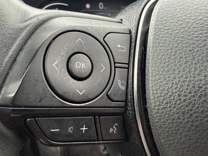 2020 Toyota RAV4 Cruiser