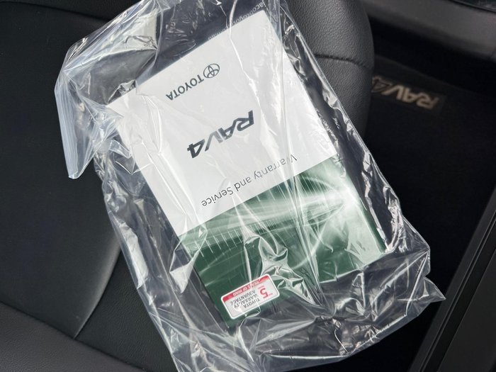 2020 Toyota RAV4 Cruiser