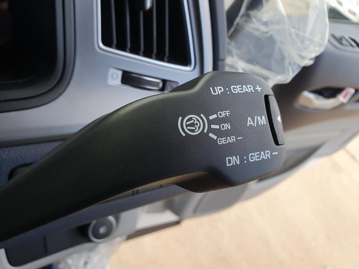 2025 Hyundai Pavise D115