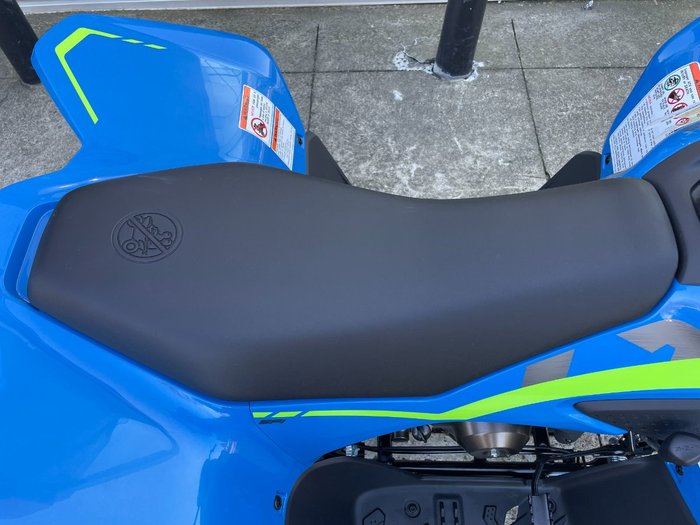 2025 CFMOTO C FORCE 110 SE BLUE