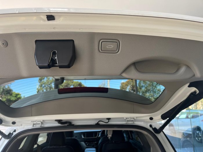 2019 Kia Carnival Platinum