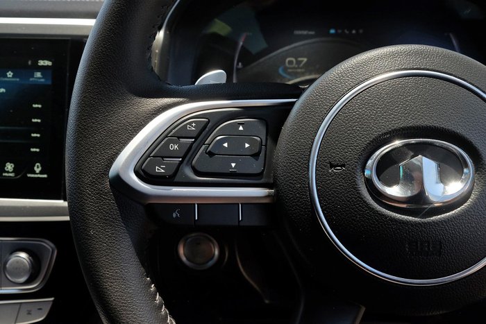 2024 GWM Ute Cannon-X