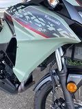 2023 Kawasaki VERSYS-X 300 SE GREEN