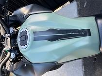 2023 Kawasaki VERSYS-X 300 SE GREEN