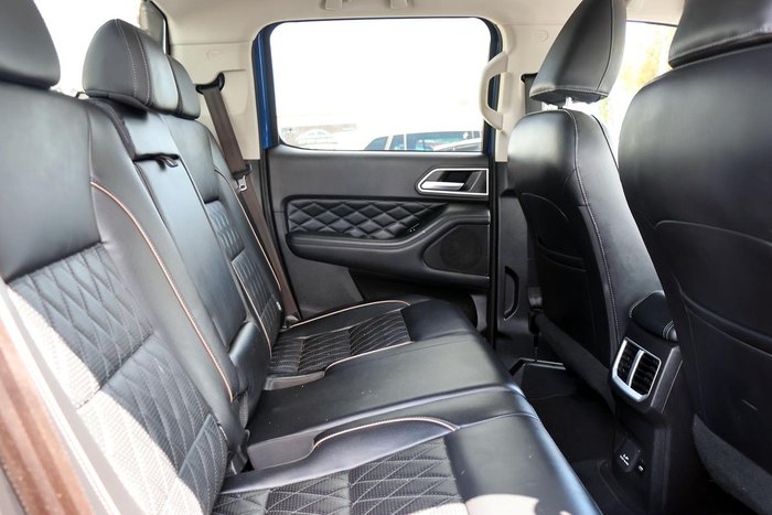 2022 GWM Ute Cannon-X