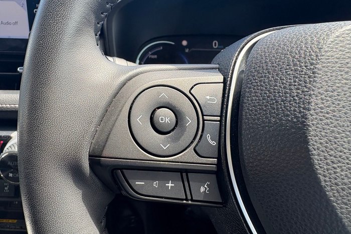 2021 Toyota RAV4 Cruiser