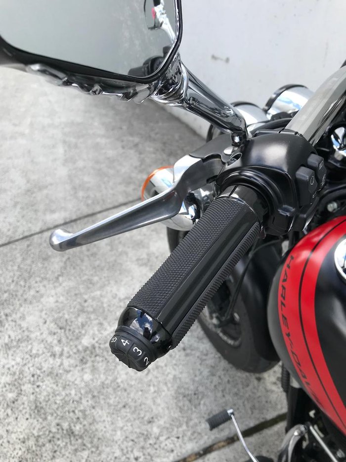 2017 Harley-Davidson Dyna Fat Bob 103 (FXDF)