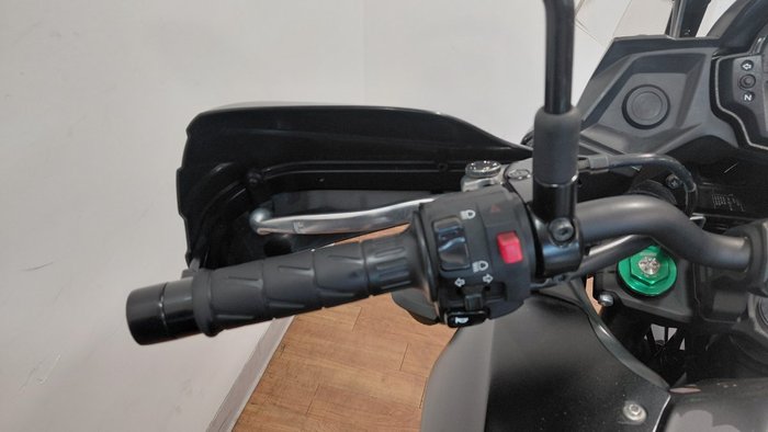 2020 Kawasaki VERSYS 650L (KLE650F) GREY