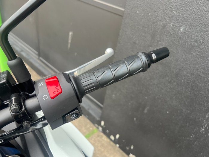 2025 Kawasaki VERSYS-X 300 BLUE