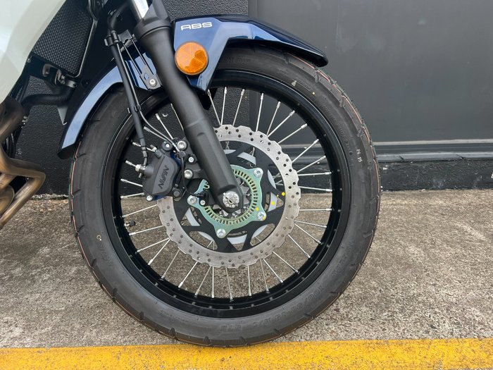 2025 Kawasaki VERSYS-X 300 BLUE