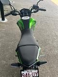 2019 Kawasaki Z125 PRO KRT REPLICA GREEN