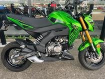 2019 Kawasaki Z125 PRO KRT REPLICA GREEN