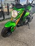 2019 Kawasaki Z125 PRO KRT REPLICA GREEN