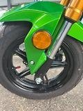 2019 Kawasaki Z125 PRO KRT REPLICA GREEN