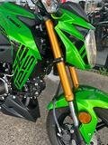 2019 Kawasaki Z125 PRO KRT REPLICA GREEN
