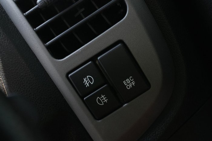 2020 Great Wall Steed