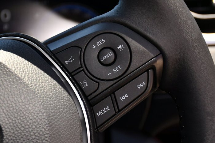 2025 Toyota RAV4 Cruiser