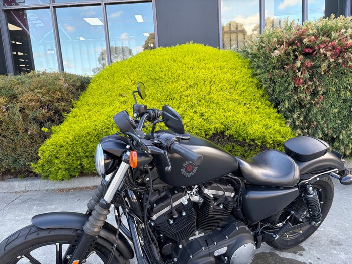 2019 HARLEY-DAVIDSON XL883N IRON 883 Black