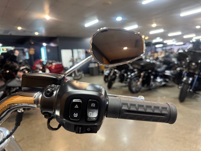 2025 Harley-davidson FLFB FAT BOY (117) Billiard Gray