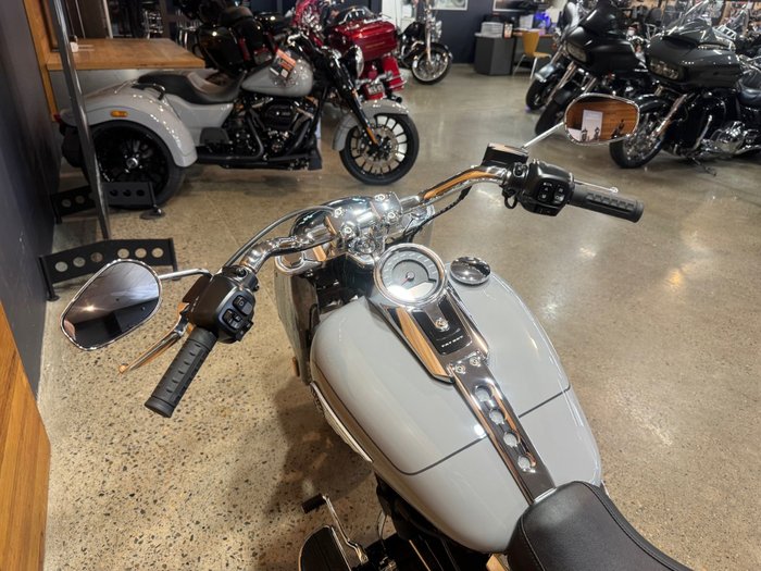 2025 Harley-davidson FLFB FAT BOY (117) Billiard Gray