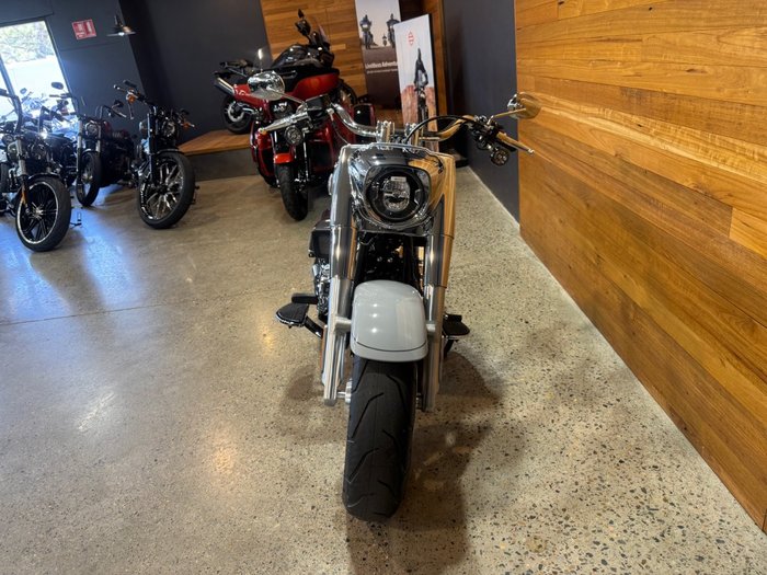 2025 Harley-davidson FLFB FAT BOY (117) Billiard Gray