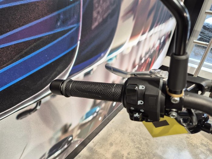 2024 Harley-Davidson X 500 X White