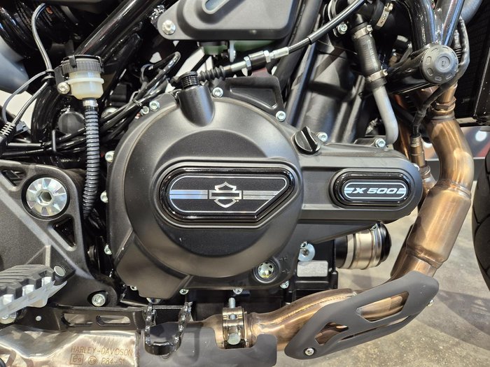 2024 Harley-Davidson X 500 X White