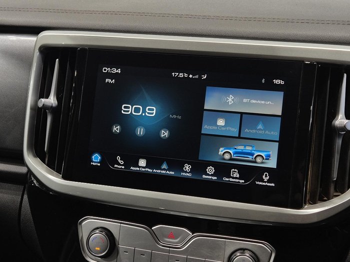 2021 GWM Ute Cannon-X