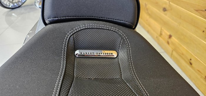 2025 Harley-davidson FXBR BREAKOUT (117) Grey