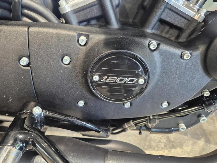 2018 Harley-Davidson Iron 1200 (XL1200NS) Sportster White