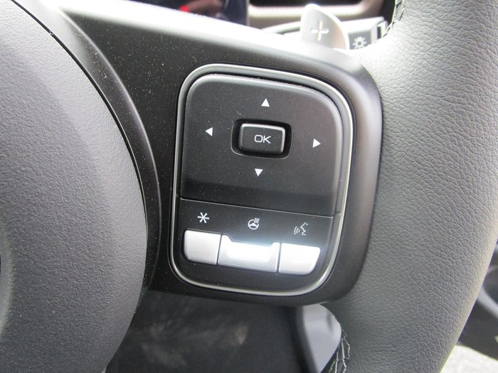 2025 GWM Cannon Vanta