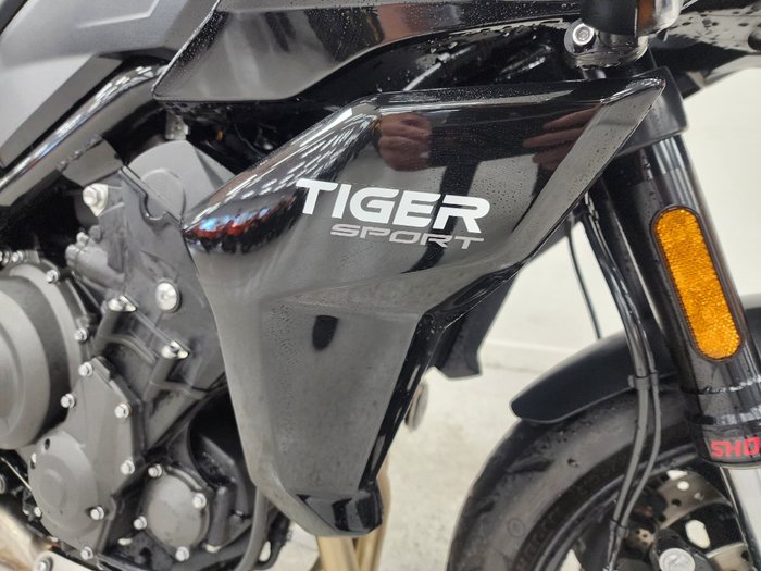 2026 Triumph TIGER SPORT 660 LAMS White