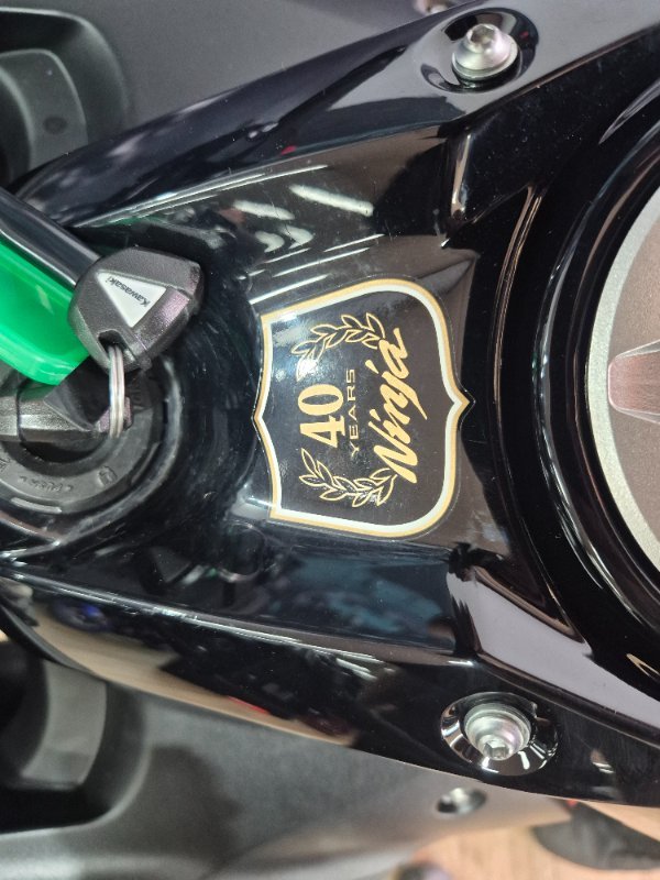 2024 Kawasaki NINJA 650L