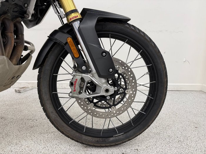 2024 Triumph TIGER 1200 RALLY PRO MATT KHAKI GREEN