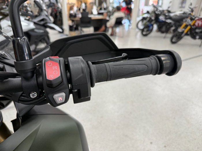 2024 Triumph TIGER 1200 RALLY PRO MATT KHAKI GREEN