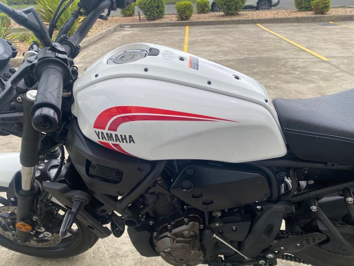 2024 Yamaha XSR700 White